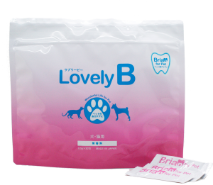 ラブリービー　Lovely B犬